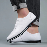 Movimento - Sapato Elegante